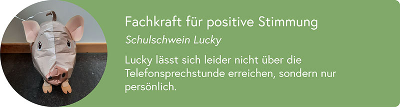 Schulschwein Lucky