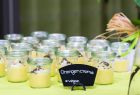 Schön angerichtete Teller mit Orangencreme