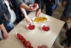 Tomatenverkostung